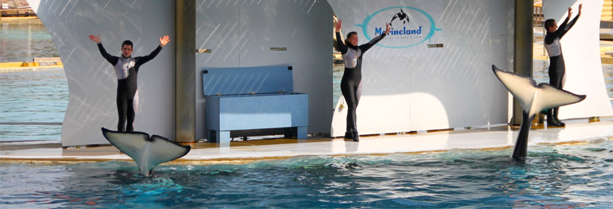 Marineland Antibes